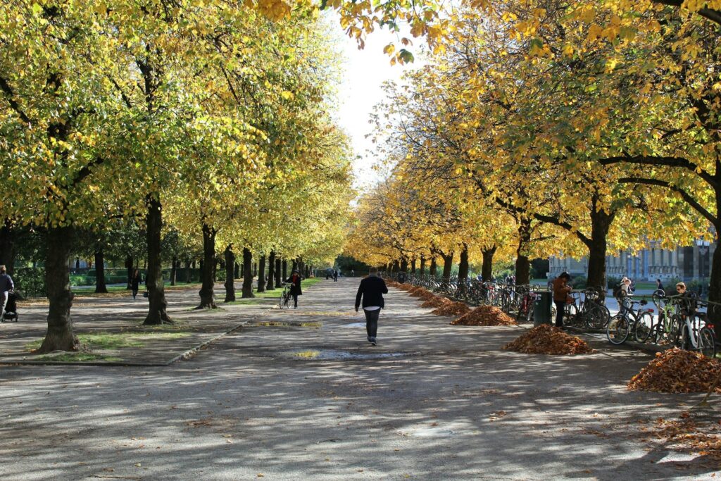 Munich in Autumn Is Oktoberfest and So Much More