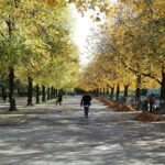 Munich in Autumn Is Oktoberfest and So Much More