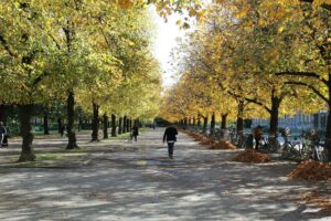 Munich in Autumn Is Oktoberfest and So Much More